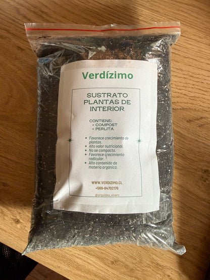 Sustrato planta de interior
