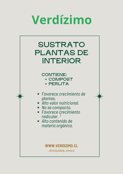 Sustrato planta de interior